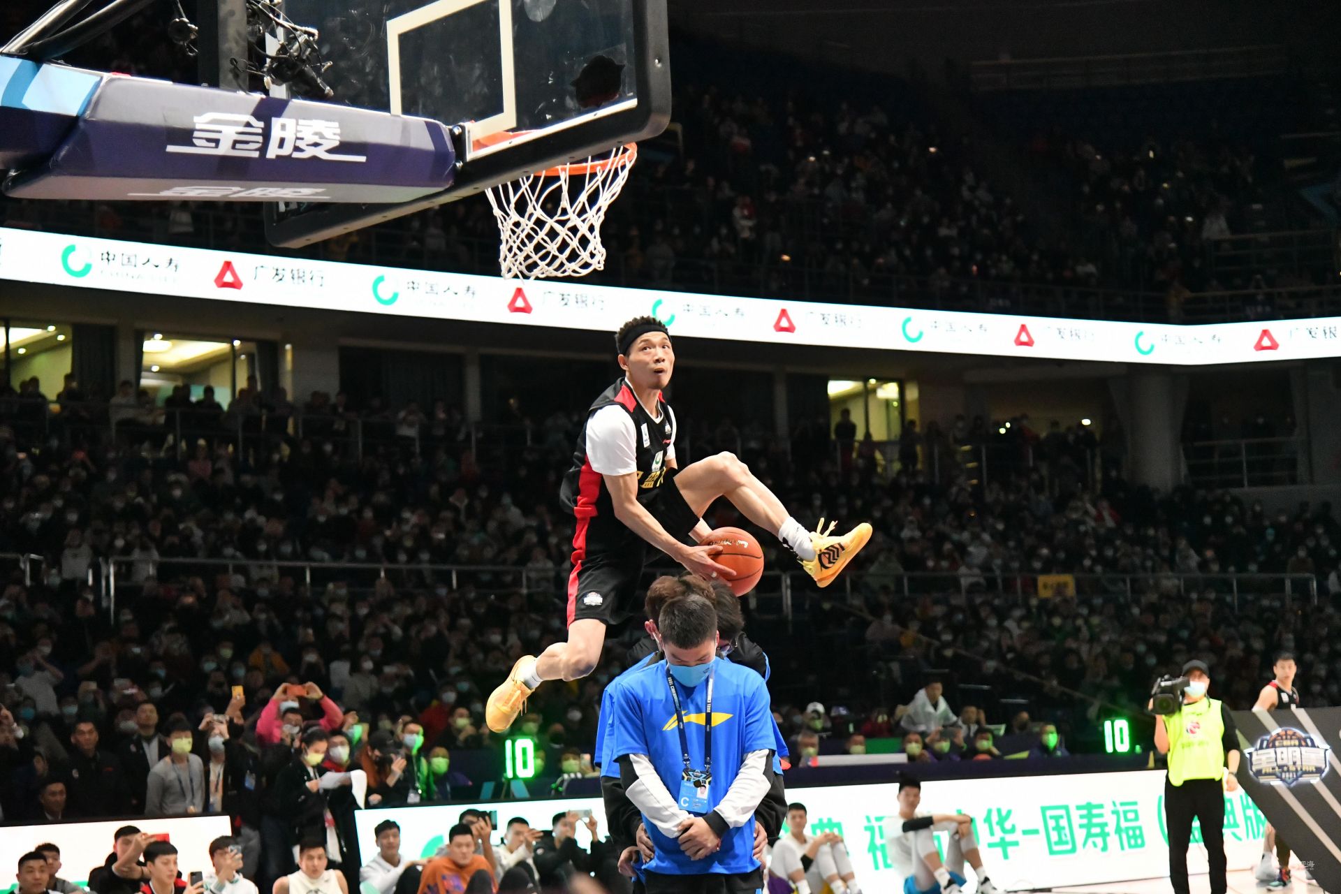 他们似乎已 他们似乎已