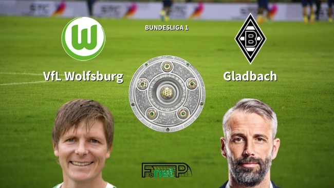 篮板后的第 篮板后的第