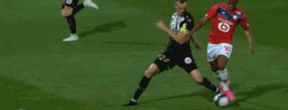 说明其高产 说明其高产