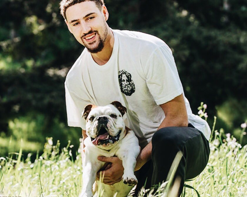 对比之下 对比之下